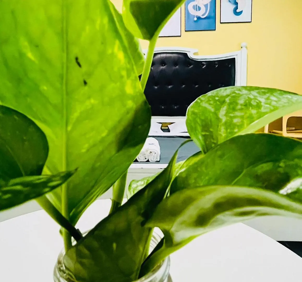Sunny Big Window Apartments Near Airport Ho Chi Minh City