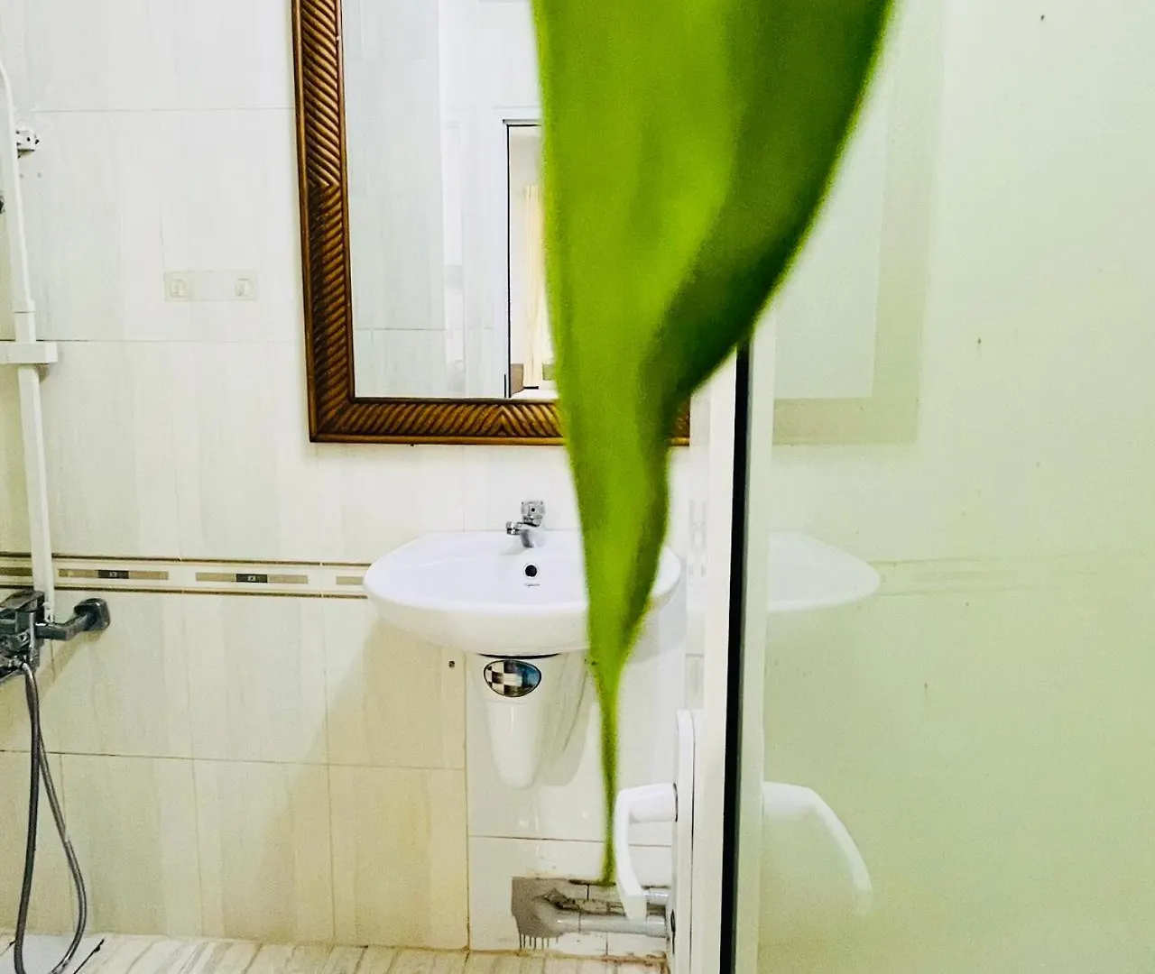 Sunny Big Window Apartments Near Airport Ho Chi Minh City