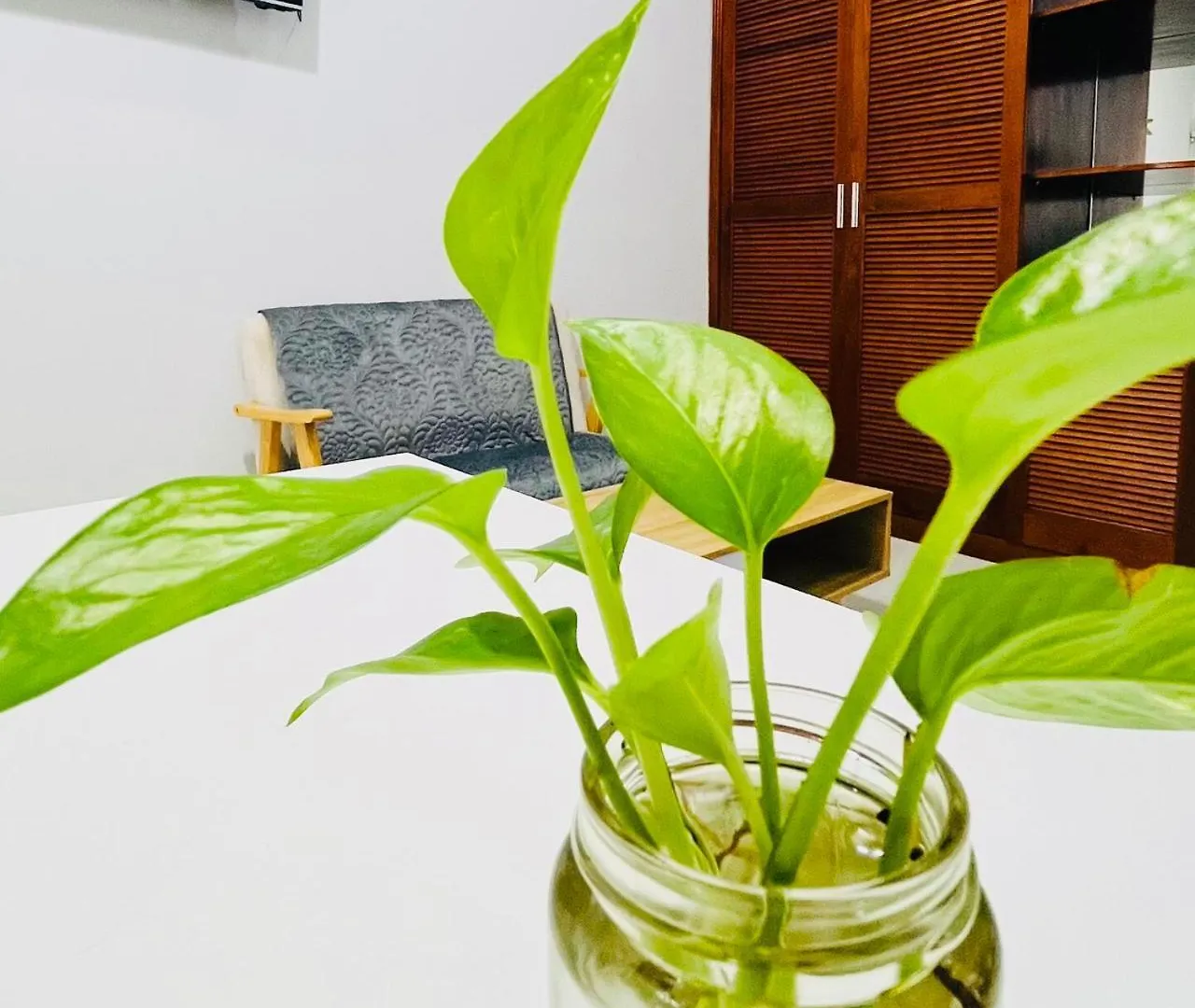 Sunny Big Window Apartments Near Airport Ho Chi Minh City